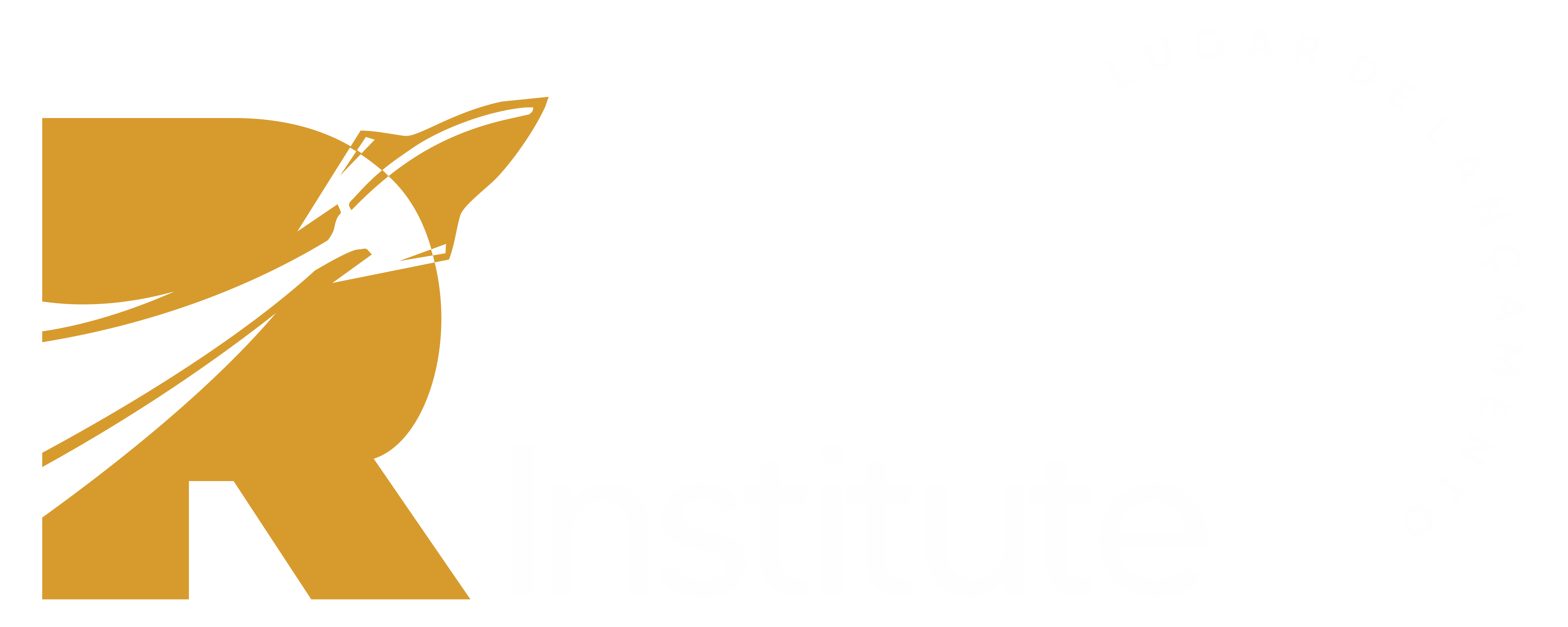 Rocket Institute